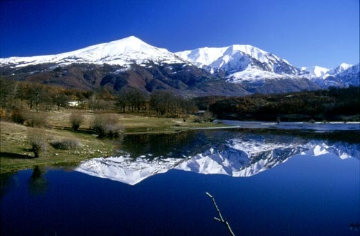 monti